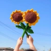 Winning the championship in one go: sunflower Popsicle making handicrafts, home decoration and arrangement, creative gifts, artworks, graduation gifts, knitted mini woolen bouquets, simulated cream puffs, little chanese-style birthday gifts, kindergarten graduation bouquets Item Picture